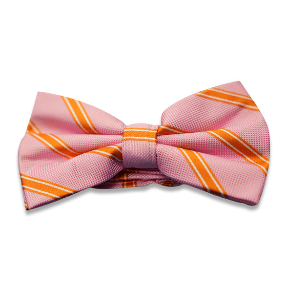Patterned Pink & Orange Bow tie