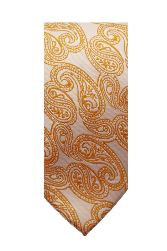 Paisley Neck Tie