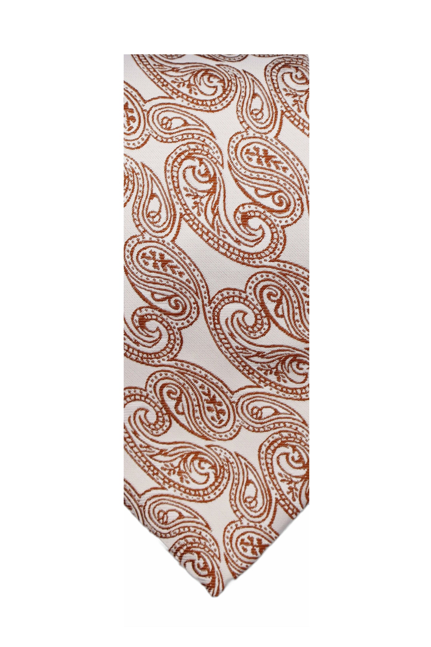 Paisley Neck Tie